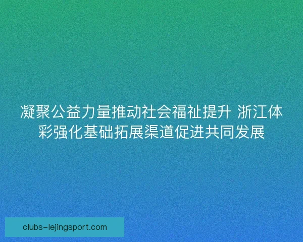 凝聚公益力量推动社会福祉提升 浙江体彩强化基础拓展渠道促进共同发展